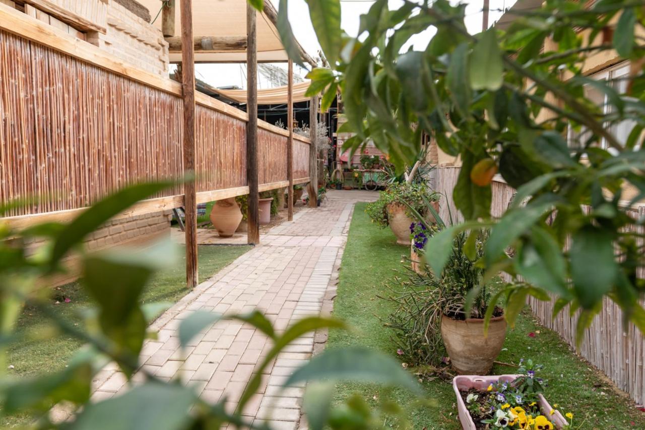 Desert Routes Inn Shvilim Ba Midbar Hazeva Екстериор снимка