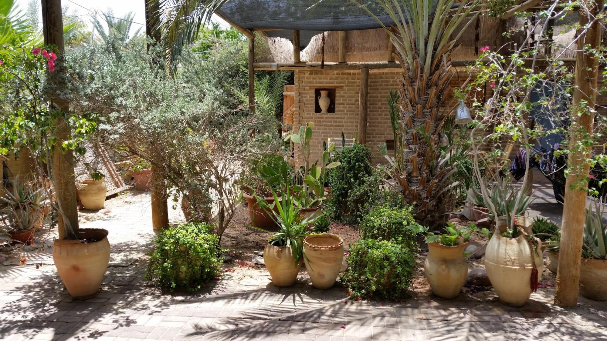 Desert Routes Inn Shvilim Ba Midbar Hazeva Екстериор снимка